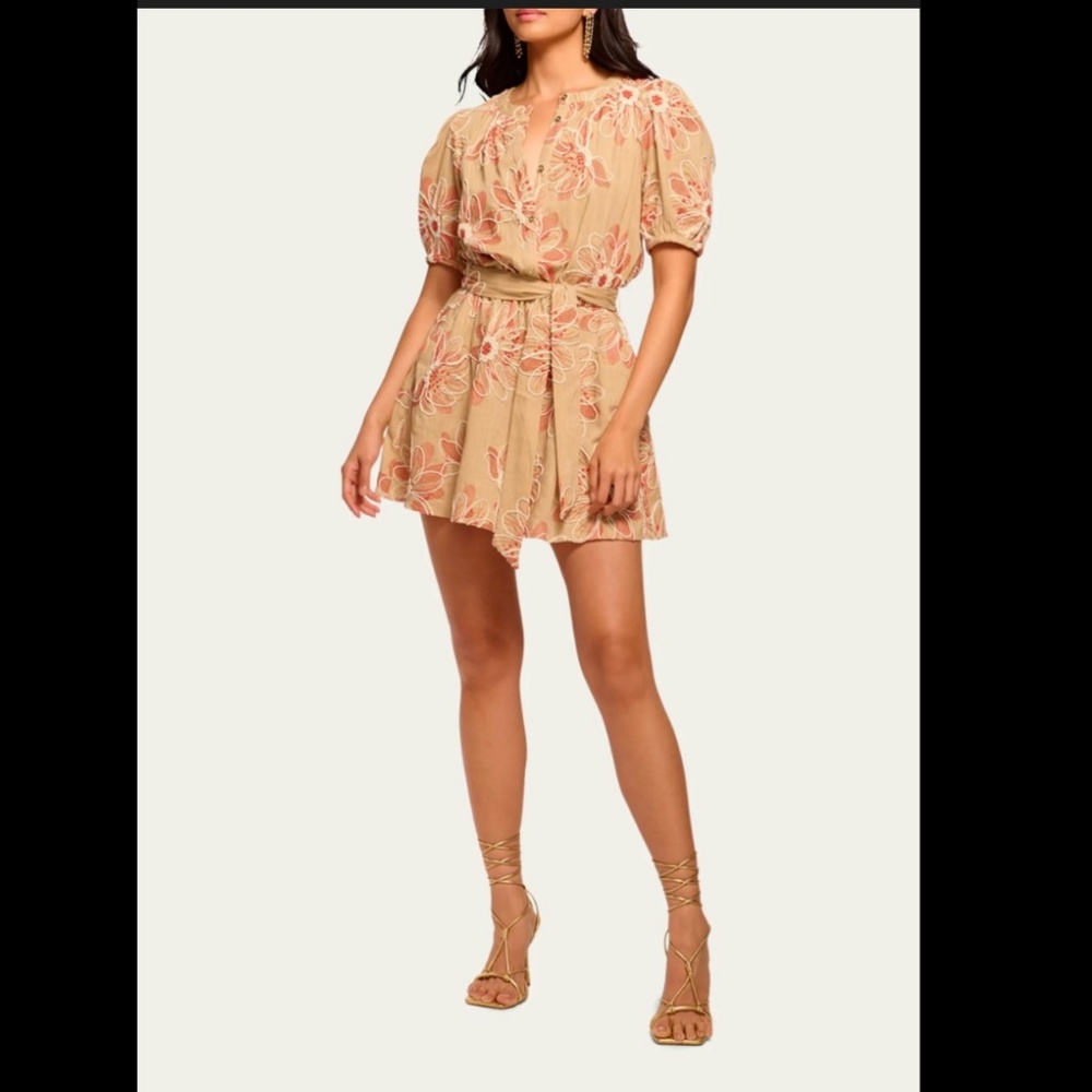 Ramy Brook Selby Embroidered Mini Dress